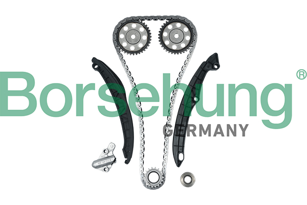 Timing Chain Kit - B16300 Borsehung