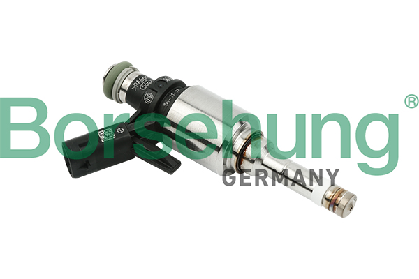 Iniettore - B16924 Borsehung