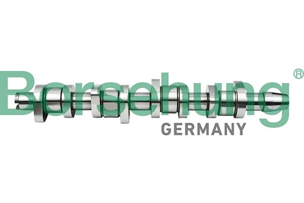 Camshaft - B17861 Borsehung
