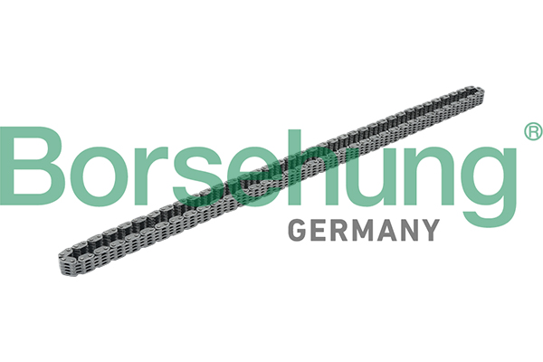 Timing Chain - B17876 Borsehung