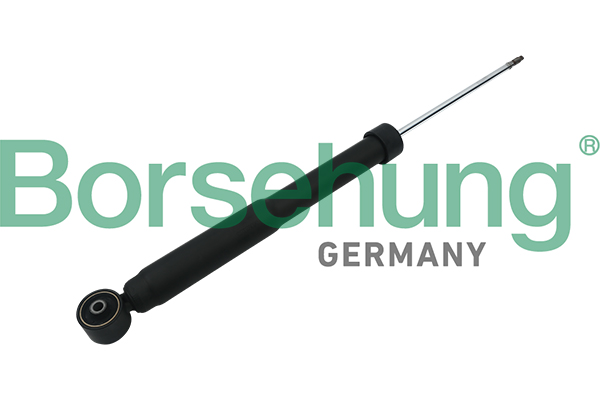amortizatorius - B17895 Borsehung