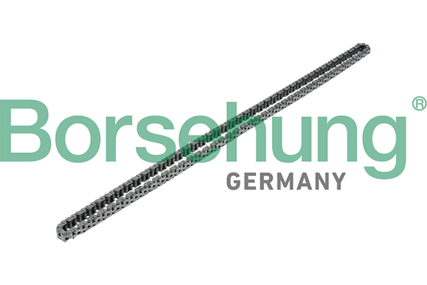 Catena distribuzione - B17908 Borsehung