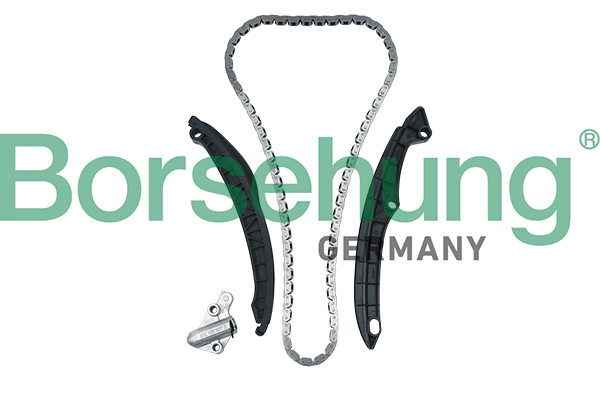 Timing Chain Kit - B17991 Borsehung
