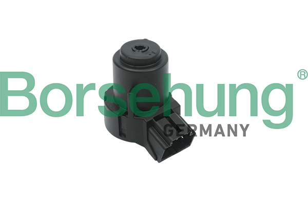 Interruttore, Accensione / motorino d'avviamento - B17994 Borsehung