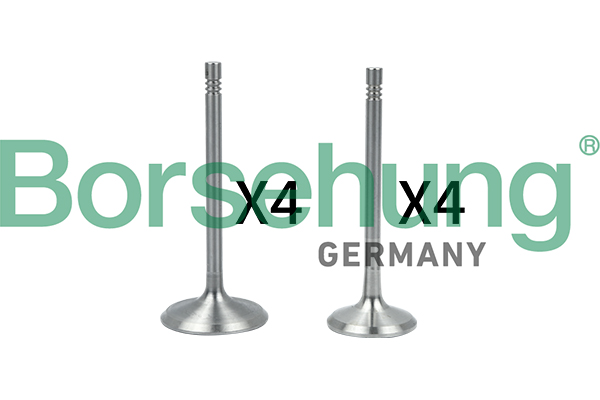 Valve Kit, intake/exhaust valve - B18146 Borsehung