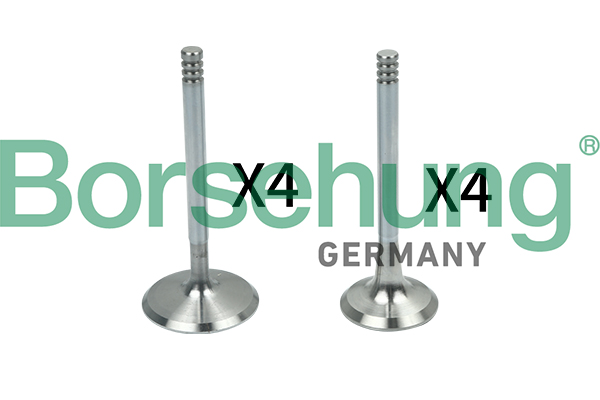 Valve Kit, intake/exhaust valve - B18148 Borsehung