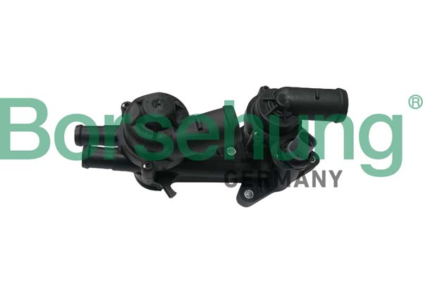 Termostato, Refrigerante - B18249 Borsehung