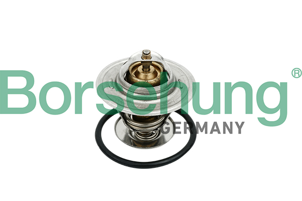 Termostato, Refrigerante - B18259 Borsehung