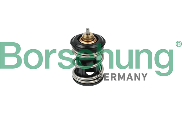 Termostato, Refrigerante - B18261 Borsehung