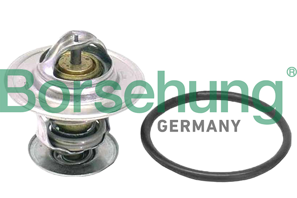 Thermostat, coolant - B18262 Borsehung