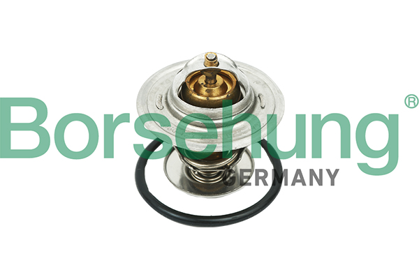 Thermostat, coolant - B18268 Borsehung
