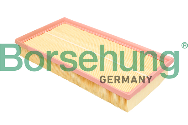 Filtro aria - B18293 Borsehung