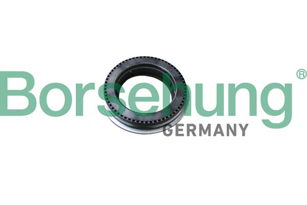 Rolling Bearing, suspension strut support mounting - B18294 Borsehung