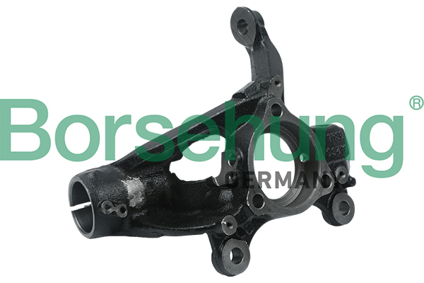 Steering Knuckle, wheel suspension - B18508 Borsehung