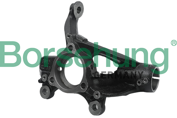 Steering Knuckle, wheel suspension - B18509 Borsehung