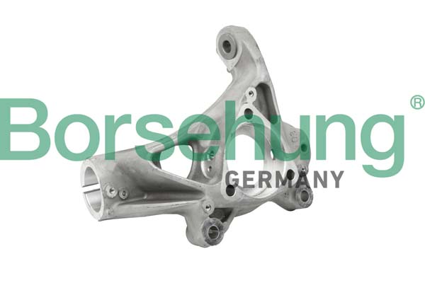 Steering Knuckle, wheel suspension - B18510 Borsehung