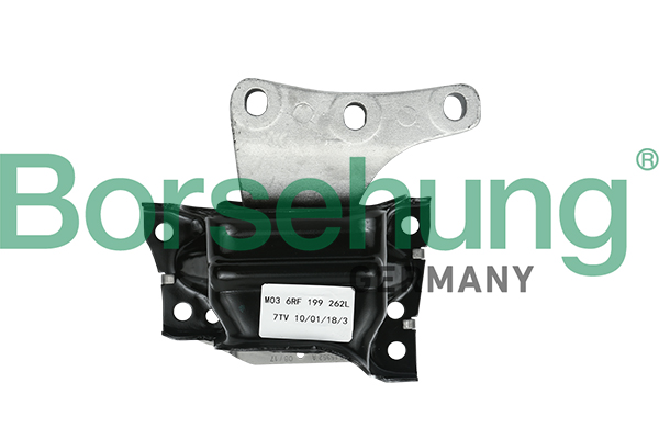 variklio montavimas - B18513 Borsehung
