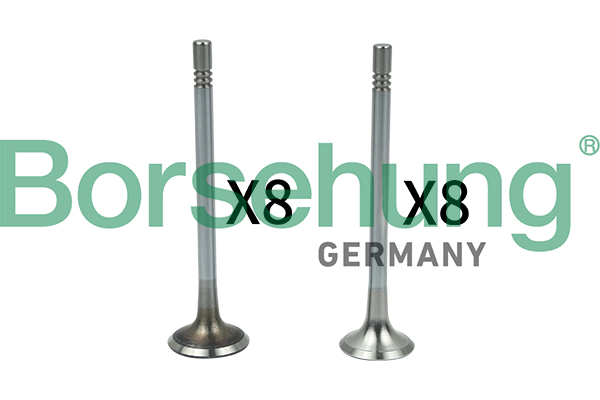 Valve Kit, intake/exhaust valve - B18628 Borsehung