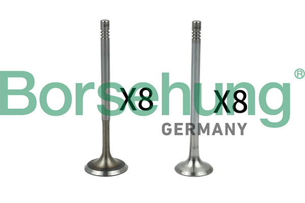 Valve Kit, intake/exhaust valve - B18630 Borsehung