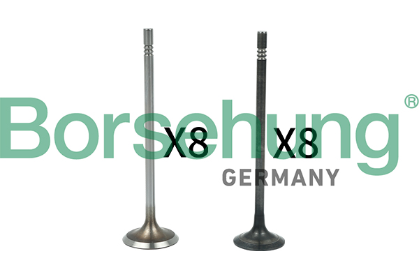 Valve Kit, intake/exhaust valve - B18631 Borsehung