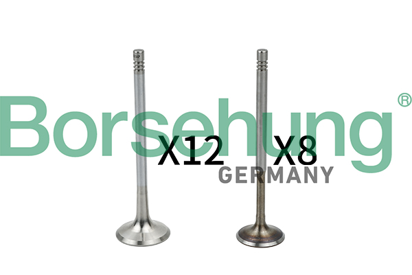 Valve Kit, intake/exhaust valve - B18635 Borsehung