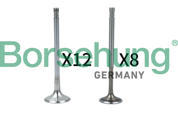 Valve Kit, intake/exhaust valve - B18636 Borsehung
