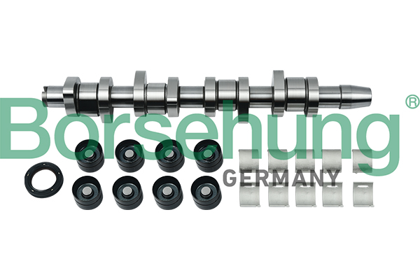 Camshaft Kit - B18664 Borsehung