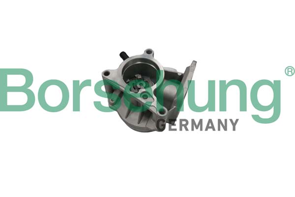 Vacuum Pump, braking system - B18666 Borsehung