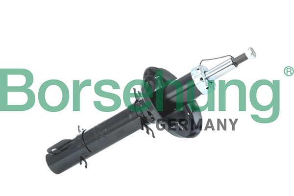 Shock Absorber - B18687 Borsehung