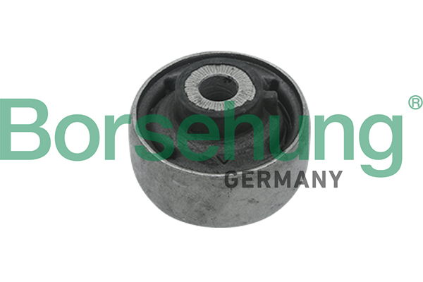 Supporto, Braccio oscillante - B18718 Borsehung
