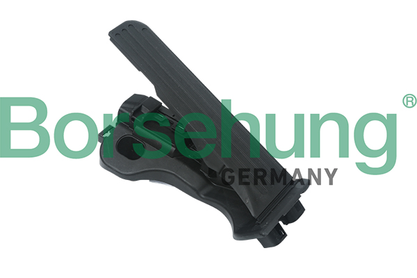 Accelerator Pedal Kit - B18725 Borsehung