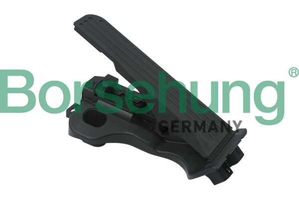 Accelerator Pedal Kit - B18726 Borsehung