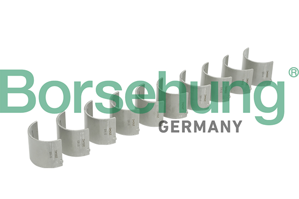 Camshaft Bushes - B18735 Borsehung