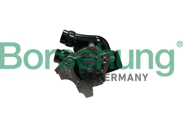 Water Pump - B18736 Borsehung