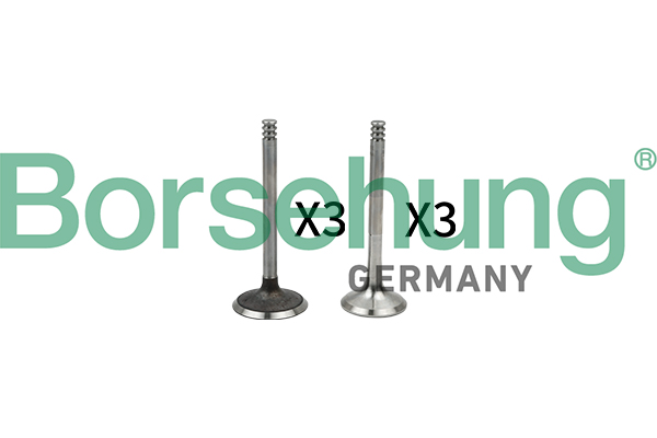 Valve Kit, intake/exhaust valve - B18765 Borsehung
