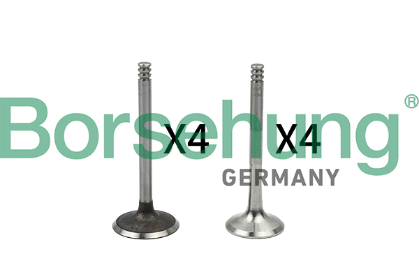 Valve Kit, intake/exhaust valve - B18766 Borsehung