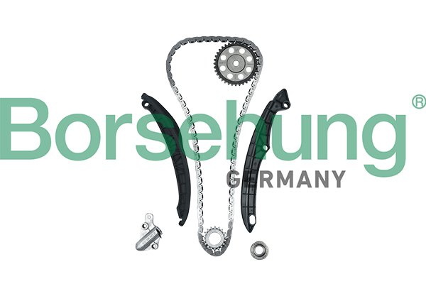 Timing Chain Kit - B18824 Borsehung