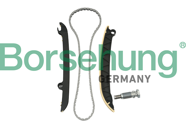 Timing Chain Kit - B18843 Borsehung