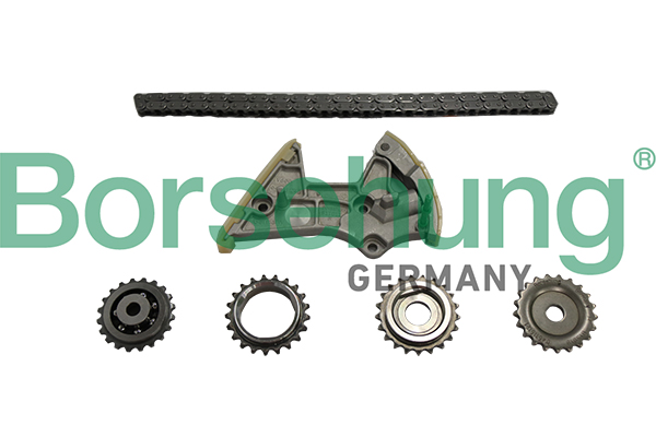 Timing Chain Kit - B18848 Borsehung