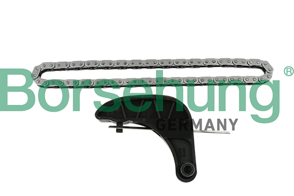 Timing Chain Kit - B18850 Borsehung