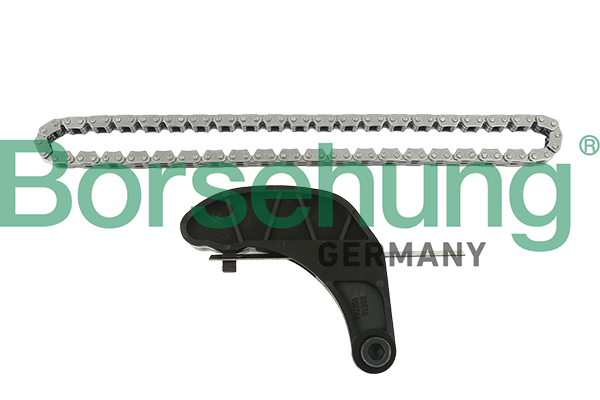 Timing Chain Kit - B18851 Borsehung