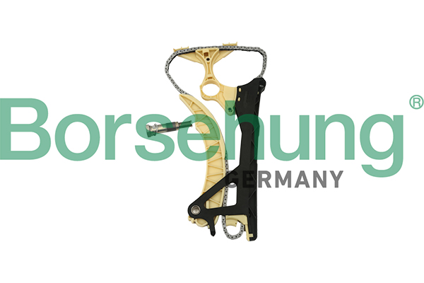 Timing Chain Kit - B18854 Borsehung