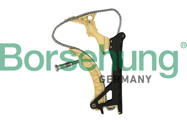 Timing Chain Kit - B18855 Borsehung