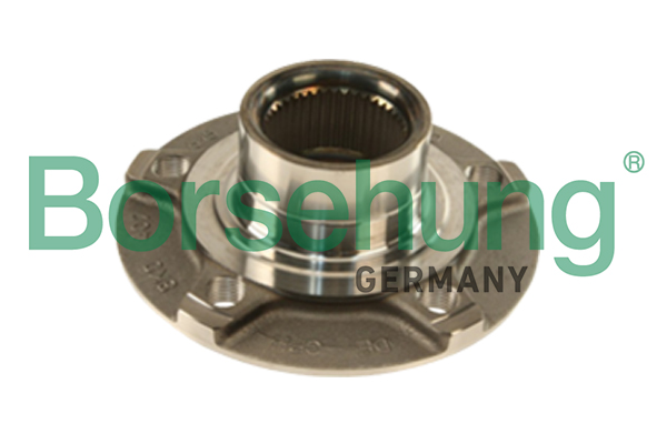 Wheel Hub - B18957 Borsehung