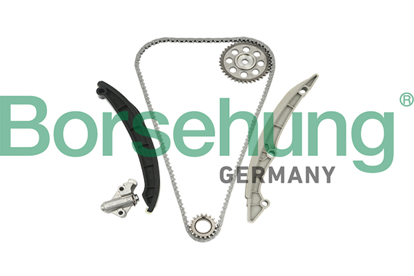 Kit catena distribuzione - B18960 Borsehung