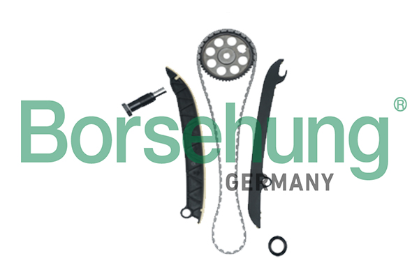 Timing Chain Kit - B18977 Borsehung