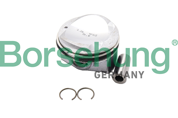 Piston Ring Kit - B18991 Borsehung