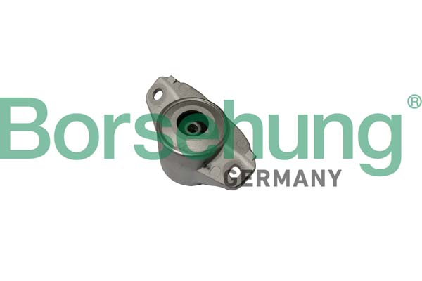 Top Strut Mounting - B19062 Borsehung