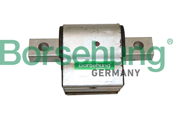 Engine Mounting - B19077 Borsehung