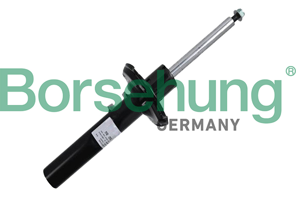 amortizatorius - B19083 Borsehung